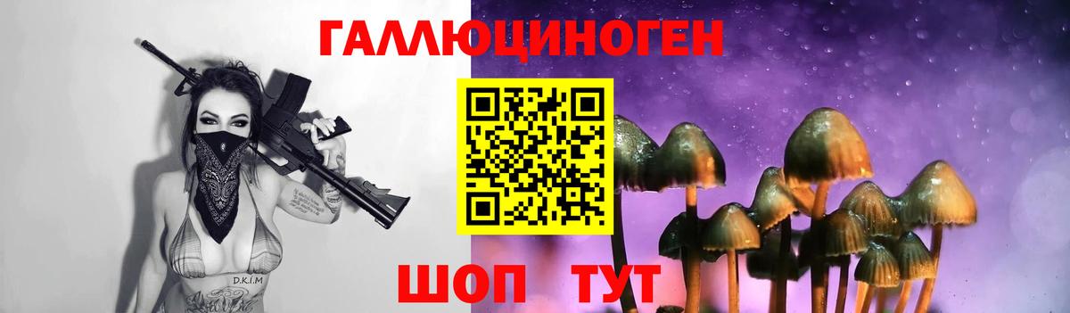 Королёв  магазин продажи   Вход с VPN  Псилоцибиновые грибы мухоморы 